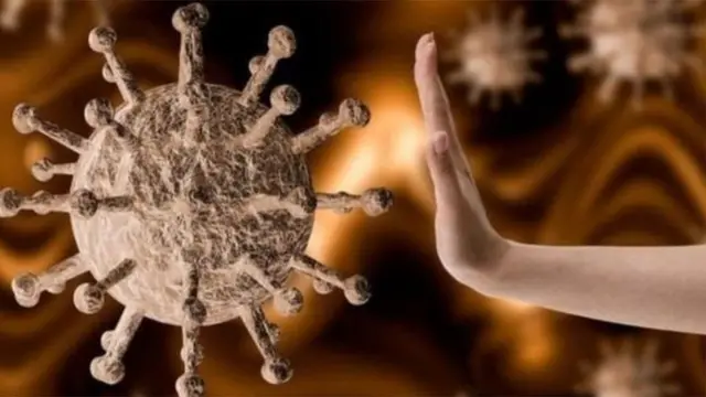 ‘ఆసియాలోని ప్రజాస్వామ్య దేశాలు కరోనావైరస్‌కు ఎదురునిలిచాయి’