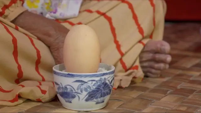 Telur burung maleo untuk prosesi adat Mombowa Tumpe.