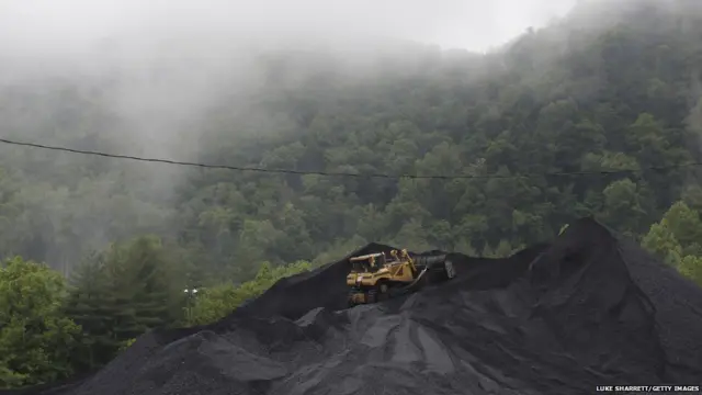 अमरीका में जंगलों की कटाई