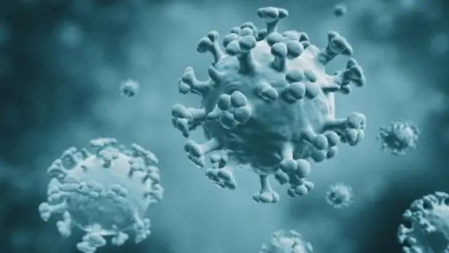 ਫਲੂ ਦੇ ਵਾਇਰਸ ਦੀ ਤਸਵੀਰ