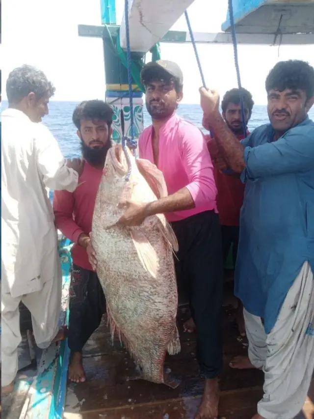 مچھلی، گوادر، بلوچستان، پاکستان