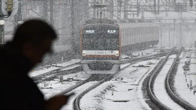 Tokyo, Jepang, salju