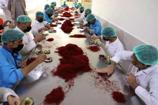 زعفران هرات از اقلام صادراتی افغانستان 