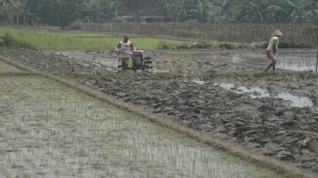 Pekerja membajak sawah dengan mesin traktor di lahan pertanian Sawit, Boyolali, Jawa Tengah, Senin (9/2/2026).