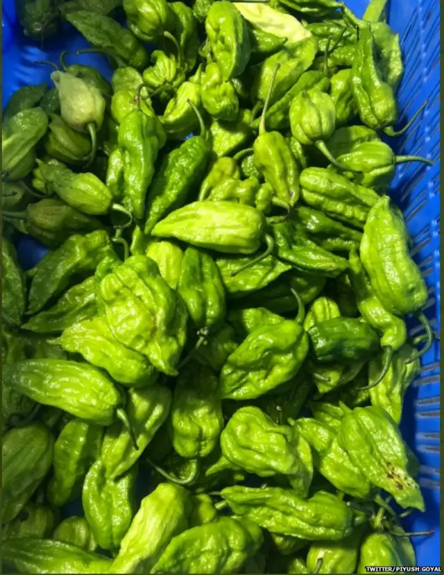 రాజా మిర్చా