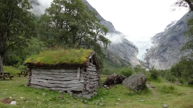 Foto de un lector de BBC Mundo por el tema "bosques"