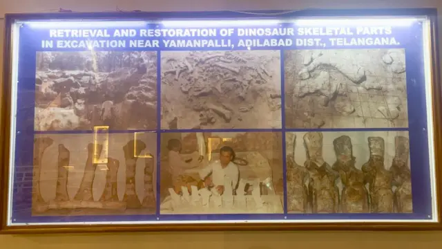 డైనోసార్ల అవశేషాలు