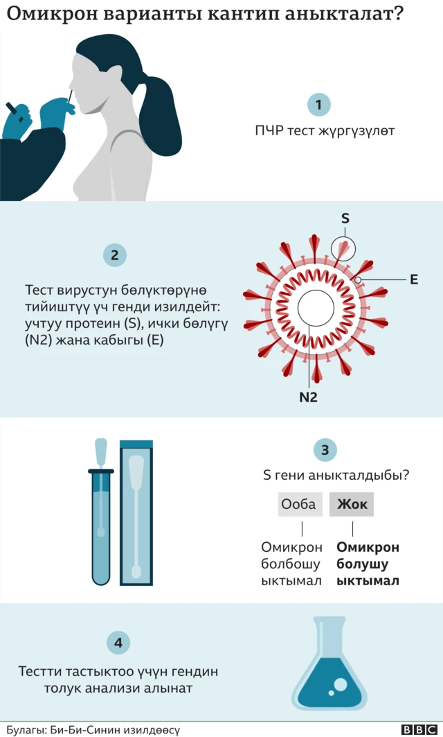 Порно мас Нелли барлық жерде трахает алды