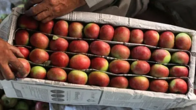 ஆப்பிள்