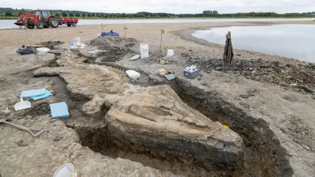 Rutland ichthyosaur fossil is largest found in UK