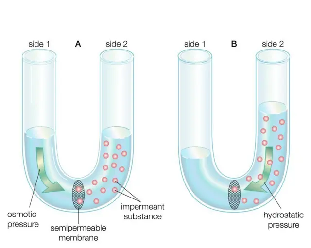  அறிவியல், நோபல் பரிசுகள், வேதியல், ஆராய்ச்சி

