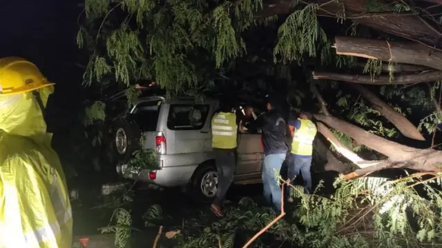 पेड़ों की कटाई का विरोध