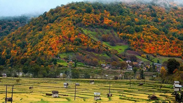 روستای میانشه(چورت)