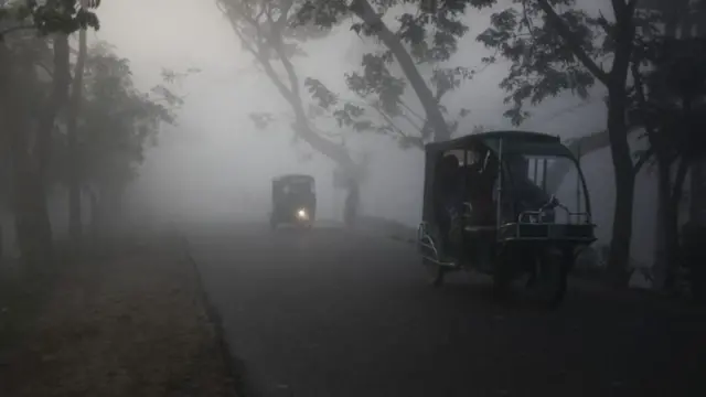 ঘন কুয়াশার কারণে অনেক জায়গায় সারাদিনে একবারও সূর্যের মুখ দেখা যাচ্ছে না