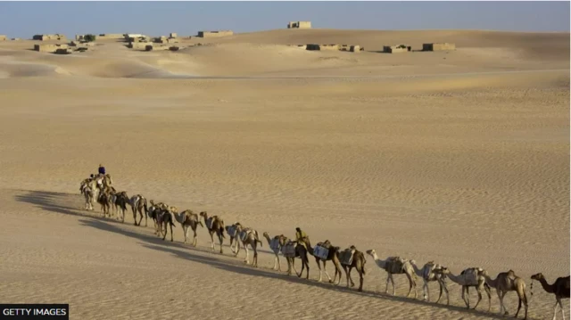 মালিক প্রতিকূল আবহাওয়ার সাথেও প্রতিনিয়ত লড়াই করতে হয়।
