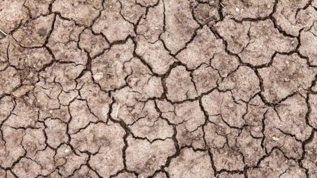 प्रातिनिधिक फोटो, दुष्काळी परिस्थिती