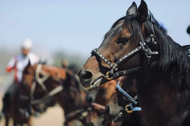"Ынтымак" командасы тең кандуу жана күлүк аттарга басым жсаганы билинип турду