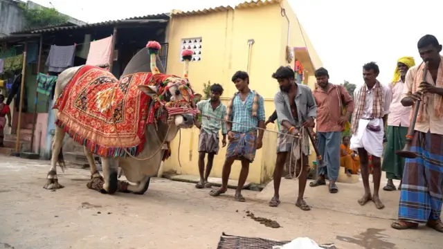 గంగిరెద్దుల ఆట