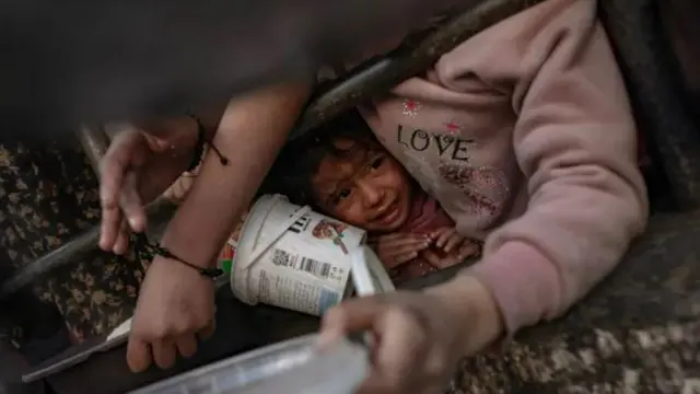 Enam Warga Gaza Meninggal Karena Kelaparan di Tengah Pengepungan Israel