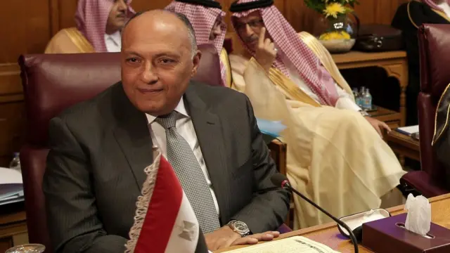 سامح شكري وزير الخارجية المصري