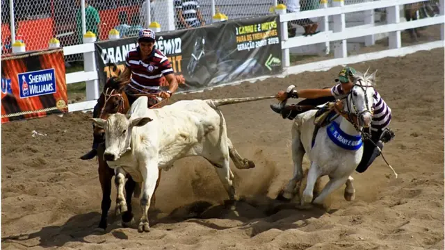 Vaquejada na Bahia