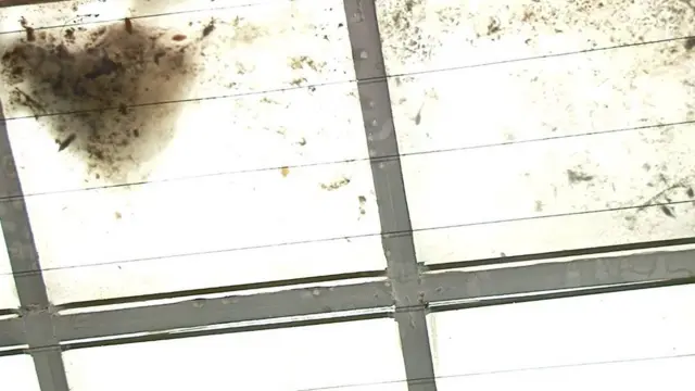 Скляний дах музею