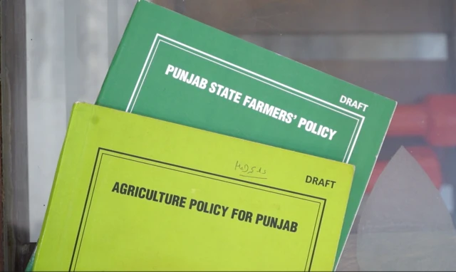 ਖੇਤੀਬਾੜੀ