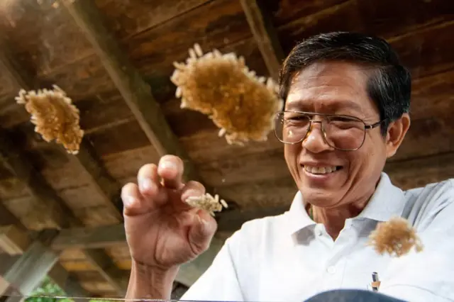 เดชา ศิริภัทร