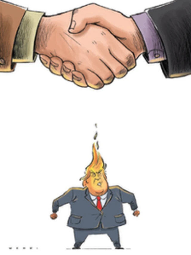 کارتون مهدی عزیزی، شهروند