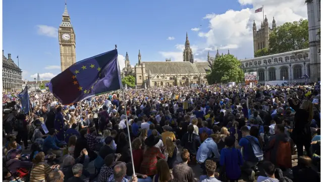 Демонстрация у Вестминстера