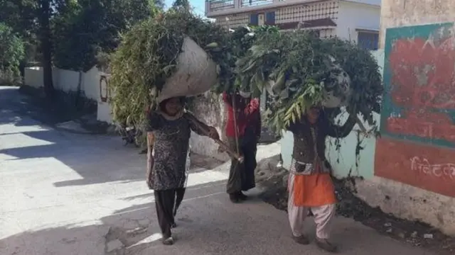 घसियारी