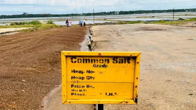මෙරට ලුණු අවශ්‍යතාවයෙන් සියයට 60ක වෙළෙඳපොළ අවශ්‍යතාවය සපුරනු ලබන්නේ හම්බන්තොට දිස්ත්‍රික්කයේ පිහිටා ඇති ලේවායන් වලිනි.