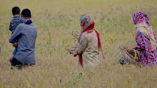 "மழைக்கு நன்றி: அதிகரித்த விவசாய பரப்பு'