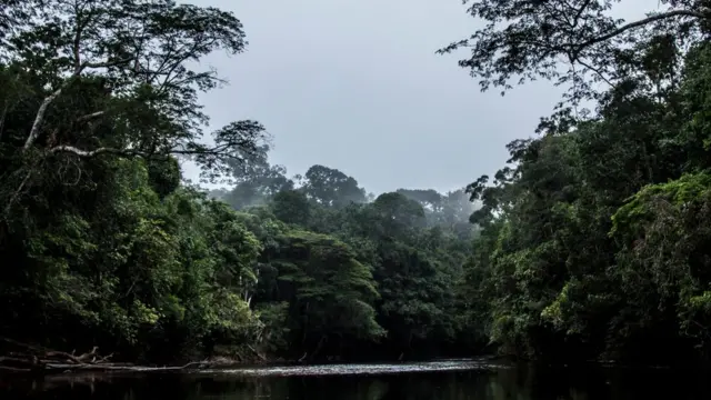 Rio na regiãopin up casino bonusMaturacá, no Amazonas