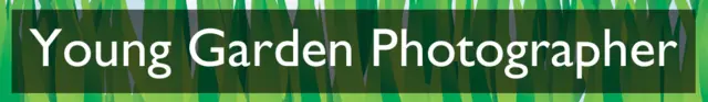 Section heading: Young Garden Photographer