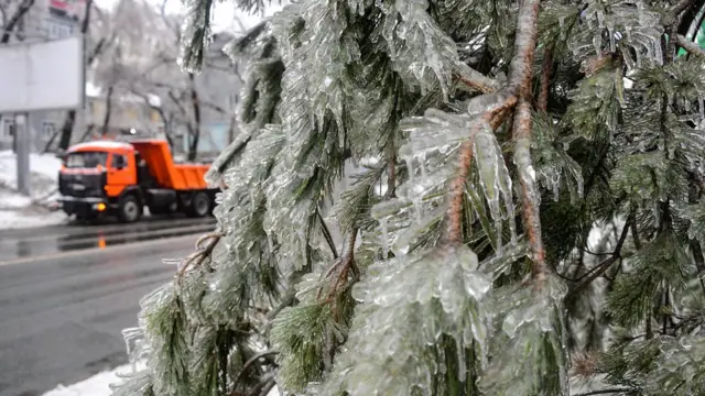 владивосток