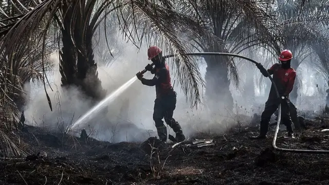 மலேசிய காட்டுத் தீ: பரவும் புகைமூட்டம், மூச்சுத் திணறும் மக்கள் - அமேசான் காடும், இந்தோனீசியா நாடும்