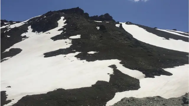 پاکستان جنگلات