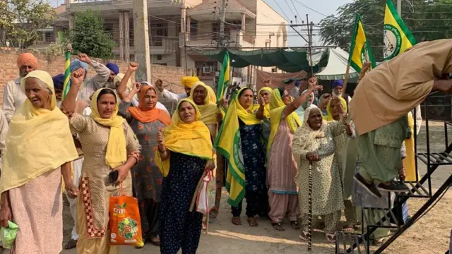 ਖੇਤੀ ਕਾਨੂੰਨ