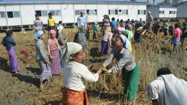 တောင်ပြိုလက်ဝဲ