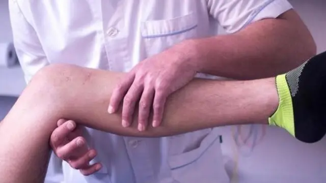 हड्डियां