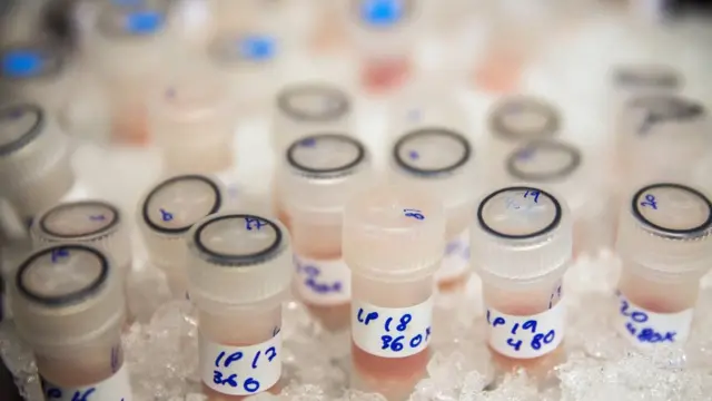 బయోలాజికల్ శాంపిల్స్