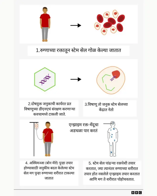 ग्राफिक कार्ड