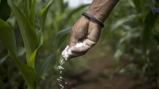 प्रातिनिधिक फोटो