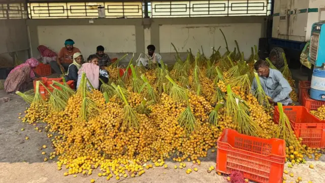 ਖਜੂਰ