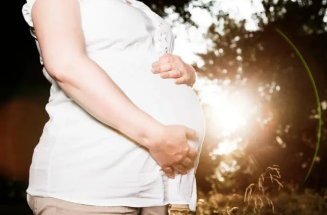 ਗਰਭ ਅਵਸਥਾ