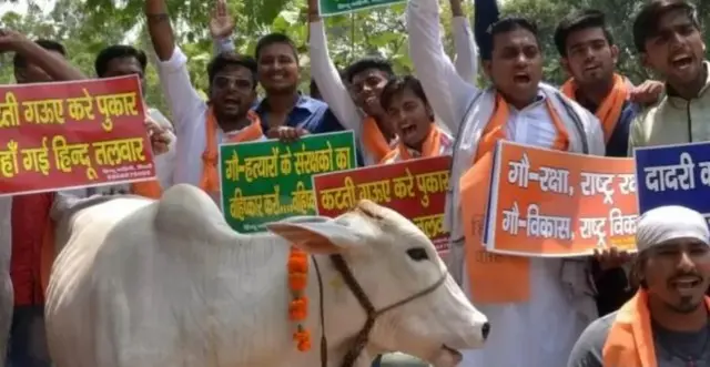 பசுவதை, இஸ்லாமியர்கள்