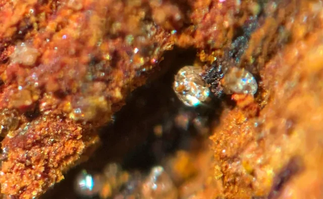 Les rusticles sont un écosystème complexe d'oxyde de fer et de microbes qui corrodent le fer mais consomment également la rouille elle-même.