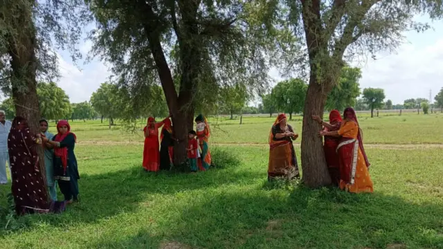 राज्य वृक्ष खेजड़ी को कटने से बचाने के लिए क़रीब तीन शताब्दी बाद फिर एक बार बड़ा आंदोलन किया जा रहा है