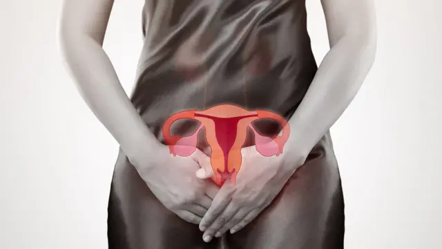 Illustration de l'utérus d'une femme